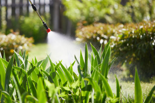 24/7 Emergency Mosquito Control experts in Peoria Heights, IL
