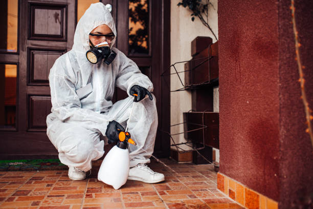 Reliable Mosquito Control contractor in Peoria Heights, IL by Show Me Pest Control